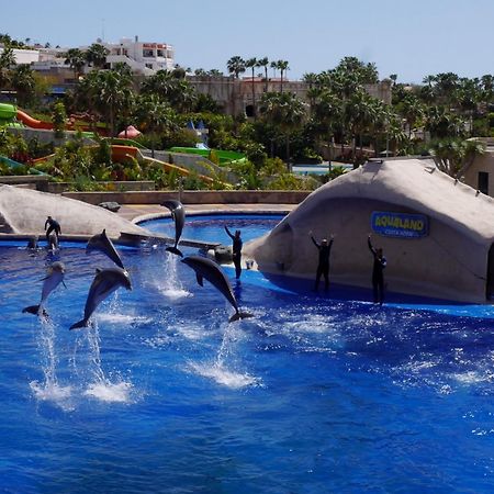 Amazing 3 Bedroom Apartment On The First Line Of The Best Las Americas Beach, Air Conditioner And Terrace Ocean View Playa de las Américas Eksteriør billede